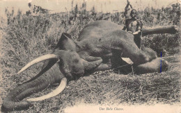 ¤¤    -    AFRIQUE    -   Une Belle Chasse   -  Chasseurs  -  Chasse à L'Eléphant      -   ¤¤ - Non Classés