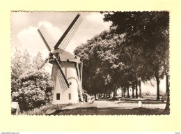 Leiden Watermolen Aan De Kanaalweg RY27956 - Leiden