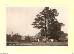 Ede Panorama Vanaf Paaschberg 1950 RY27924 - Ede