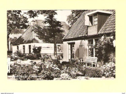 Ameland Nes Dorpsgezicht RY29182 - Ameland