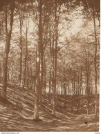 Putten Originele Foto Ca. 1905 Voor Kaart KE1429 - Putten