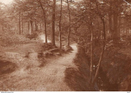 Putten Originele Foto Ca. 1905 Voor Kaart KE1428 - Putten