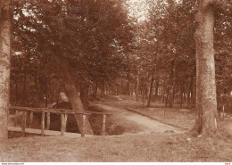 Putten Originele Foto Ca. 1905 Voor Kaart KE1427 - Putten