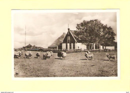 Texel Boerderij In Tienhoven RY28808 - Texel