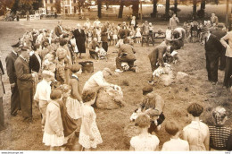 Persfoto Ede Schaapscheerdersfeest KE1233 - Ede