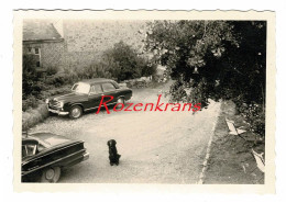 Oude Foto Old Photo Ancienne Peugeot 403 Voiture Car Oldtimer Auto Retro Vintage Chien Dog Hond Hund (7.1 X 10.1 Cm) - Altri & Non Classificati