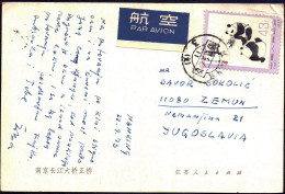 CHINA - KINA - GIANT PANDA On AIRMAIL - 1973 - Covers & Documents