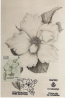 SPAIN. MAXICARD FIRST DAY. ROSA CARTERO. FLOWER. 2022 - Tarjetas Máxima