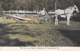 Livermore Iowa, Duck Hunting Man Tows Boat Horse-drawn Buggy C1900s/10s Vintage Postcard - Other & Unclassified