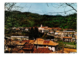 Delcampe - ITALIE POSTUA Ridente Scorcio Panoramico Plan Peu Courant - Vercelli