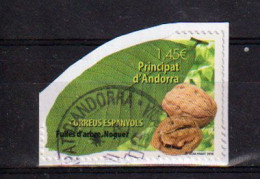 Hoja De árbol: Nogal, Sello Adhesivo Cancelado Sobre Fragmento De Carta (2018) 1ª Calidad. Alto Facial - Used Stamps