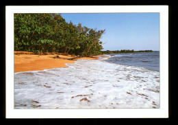 Cameroun Plage De Kribi - Cameroun