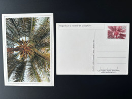 Gabon Gabun 1998 Mi. ? Entier Postal Ganzsache Stationery Regard Sur Le Cocotier En Parapluie Kokosbaum Coconut Tree - Gabon