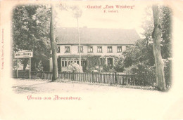 Gruss Aus AHRENSBURG Bei Hamburg Gasthof Zum Weinberg Grünlich Belebt 28.7.1901 Fast TOP-Erhaltung - Ahrensburg