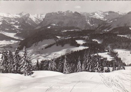 AK 153705 AUSTRIA - Hochälpele - Blick In Den Bregenzerwald - Bregenzerwaldorte
