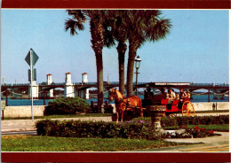 Florida St Augustine Sightseeing Carriage - St Augustine