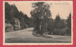 Petit-Fays - Route En Lacet ... Oldtimer  ( Voir Verso ) - Bièvre