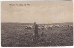 Op Den Zijpenberg Bij Velp - (Gelderland, Nederland/Holland) - Schaapskudde, Herdersjongen, Hond - Velp / Rozendaal