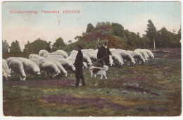 Kluizenaarsberg, Omstreken Arnhem  - (Gelderland, Nederland/Holland) - 1928 - Schaapskudde, Herders, Hond - Velp / Rozendaal