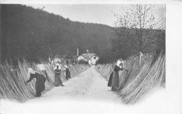 LUXEMBOURG - Culture De L'Osier Servant Pour Les Paniers à Champagne De La Maison " MERCIER & Cie " - Autres & Non Classés