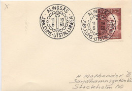 SVEZIA - SVERIGE - 1960 -  ALINGSAS - Lettres & Documents