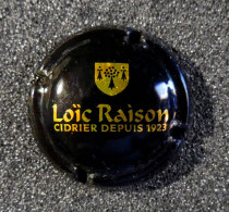 Capsule CIDRE - Loïc RAISON - Altri & Non Classificati