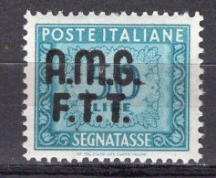 Z6933 - TRIESTE AMG-FTT TASSE SASSONE N°15 ** - Postage Due