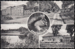 D-24576 Bad Bramstedt - Sol- Und Moorbad - Alte Ansichten - Eichhörnchen - Stamp 1959 - Bad Bramstedt
