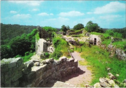 VIEUXVILLE - Château-fort De Logne - Repaire Du Sanglier Des Ardennes - N'a Pas Circulé - Ferrières