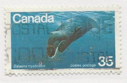 23406) Canada Flaw By Nose Of Whale 1979 - Oblitérés