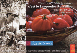 CPM - E - C'EST BON - C'EST DE SAISON - C'EST LE LANGUEDOC ROUSSILLON - SUD DE FRANCE C'EST NOTRE MARQUE - TOMATE - Languedoc-Roussillon