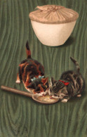 Chat - Cpa Illustrateur - Chats Mangeant Dans Une Cuillère - Cat Katze - Chats