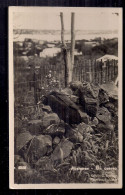 PHoto Postale - Argentina, Misiones - Un Cuervo En La Montaña - América