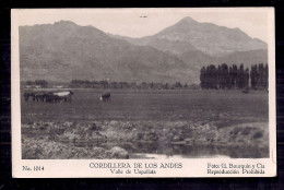 PHoto Postale -  Cordillera De Los Andes, Valle De Uspallata - America