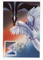 1995. YUGOSLAVIA,SERBIA,BELGRADE,MAXIMUM CARD,50 YEARS FROM FASCISM DEFEET,BIRDS,DOVE AND HAWK - Cartes-maximum