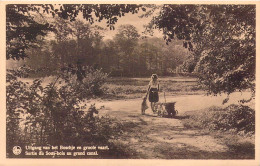 BELGIQUE - TERVUEREN - Le Parc - Carte Postale Ancienne - Tervuren