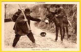 CPA ANE ANES Trois Entétés - Auvergne  - Tris DARUS - Anes