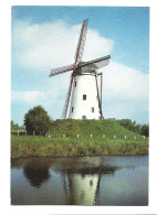 Damme Windmolen Mill Moulin Photo Carte Foto Prentkaart Htje - Damme