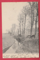 Quiévrain - La Honelle - 1904 ( Voir Verso ) - Quievrain