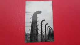 Oswiecim(Auschwitz) - Monuments Aux Morts