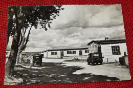 ELSENBORN  -  CAMP - Elsenborn (Kamp)