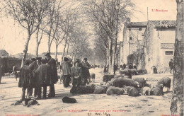 FRANCE - 09 - MIREPOIX - Boulevard Des Remparts - 21 Nov 1903 - Carte Postale Ancienne - Mirepoix