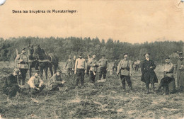 MILITARIA - Dans Les Bruyères De Munsterlager - Animé - Carte Postale Ancienne - Guerres - Autres