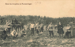 MILITARIA -  Dans Les Bruyères De Munsterlager  -  Carte Postale Ancienne - Other Wars