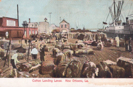 NEW ORLEANS / COTTON LANDING LEVEE - New Orleans