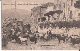 Italie - Fiuggi - Via Della Mortella Con L'orco Della Lietta Capre Goat - Frosinone