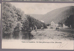 Cpa Coo   1902   Vaches - Stavelot