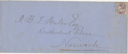 GB 1899, Large Envelope (backflap Missing, Partly Stained) Franked With Sound Used 1d Lilac Tied By Nice Hooded Circle - Brieven En Documenten