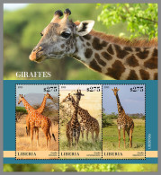 LIBERIA 2023 MNH Giraffes Giraffen Girafes M/S - OFFICIAL ISSUE - DHQ2333 - Jirafas