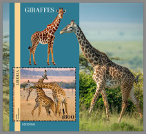 LIBERIA 2023 MNH Giraffes Giraffen Girafes S/S I - IMPERFORATED - DHQ2333 - Giraffen